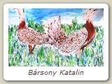 Bársony Katalin