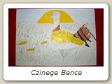 Czinege Bence