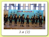 3.a (3)