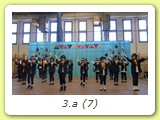 3.a (7)