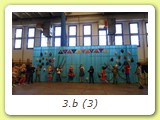 3.b (3)