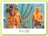 3.c (3)