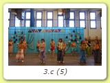 3.c (5)
