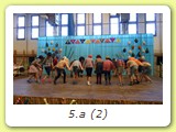 5.a (2)