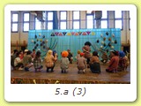 5.a (3)