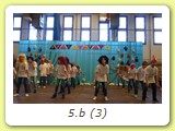5.b (3)