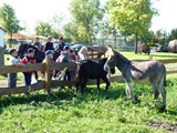 kalandfarm (1)
