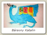 Bársony Katalin