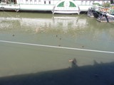 4.nap Budapest (31)