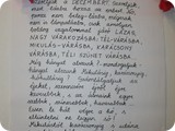 DSCF2999