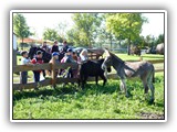 kalandfarm (1)