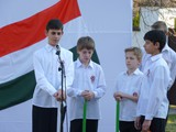 2014.március 15. (210)
