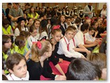 Előkészületek08