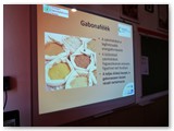 Táplálkozás_02.04 _5.2 (4)