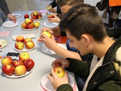 Szakmák éjszakája (18)