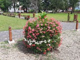 Farkaslaka12