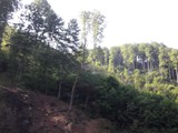 Gyergyóújfalu6