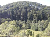 Gyergyóújfalu7