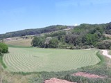 Segesvár02