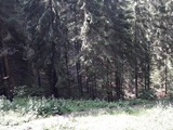 Súgó-barlang17