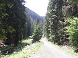 Súgó-barlang34