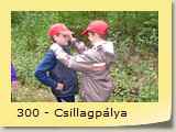 300 - Csillagpálya