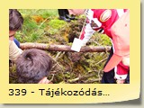 339 - Tájékozódás az erdőben
