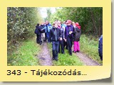 343 - Tájékozódás az erdőben