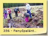 356 - Fenyőpalántálás