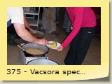 375 - Vacsora specialitások