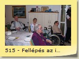 515 - Fellépés az időseknél