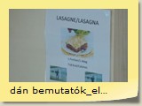 dán bemutatók_előadások (17)