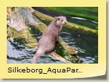 Silkeborg_AquaPark (4)
