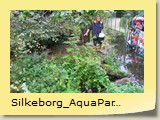Silkeborg_AquaPark (5)