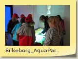 Silkeborg_AquaPark (6)