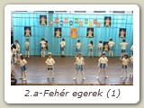 2.a-Fehér egerek (1)