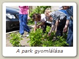 A park gyomlálása