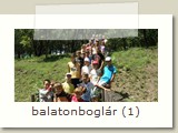 balatonboglár (1)