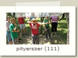pityerszer (111)