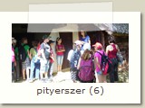 pityerszer (6)