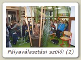 Pályaválasztási szülői (2)