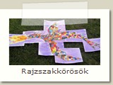 Rajzszakkörösök