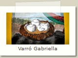Varró Gabriella