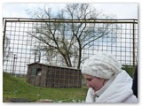 Vízmű 2013. (57)