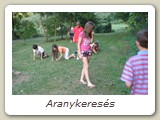 Aranykeresés