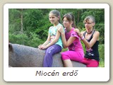 Miocén erdő