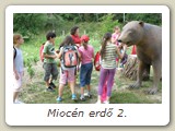 Miocén erdő 2.
