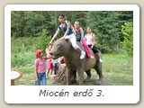 Miocén erdő 3.