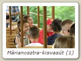 Márianosztra-kisvasút (1)