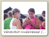 Vándorbot-rovásírással (2)